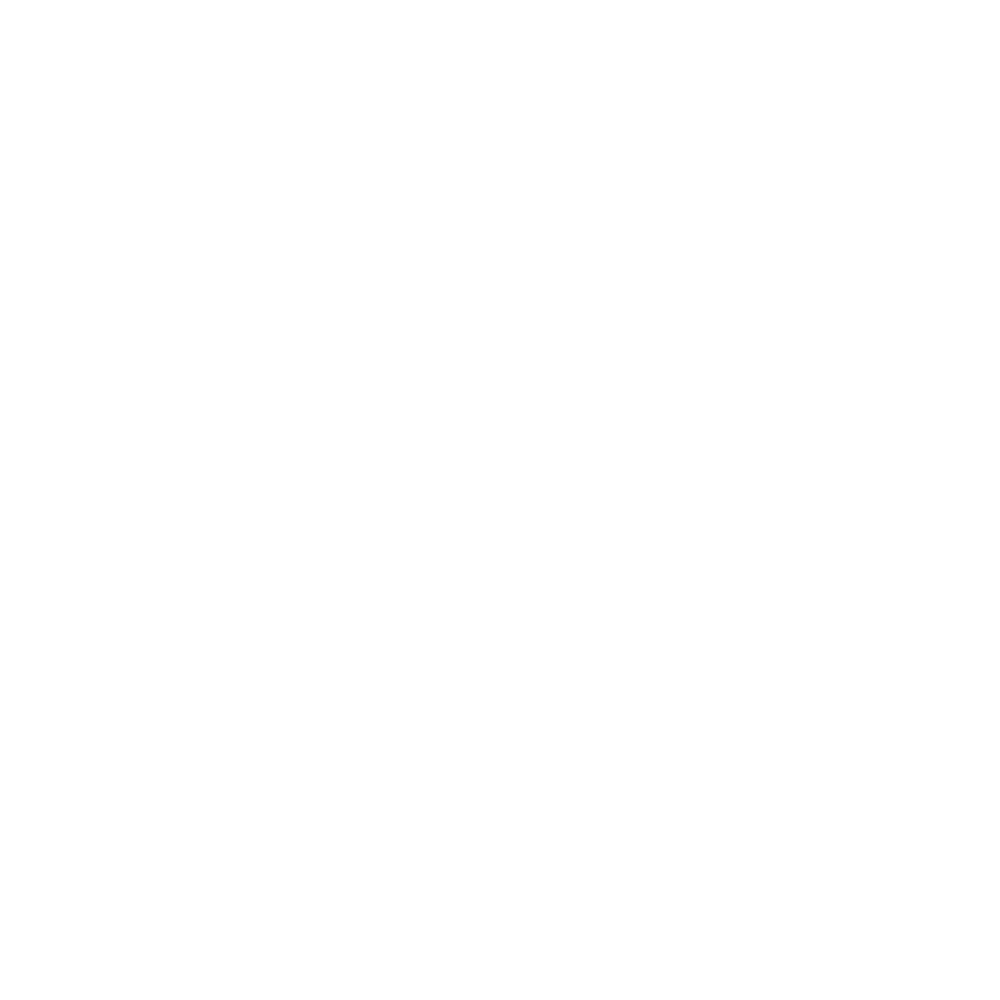 Forgeworks Interactive